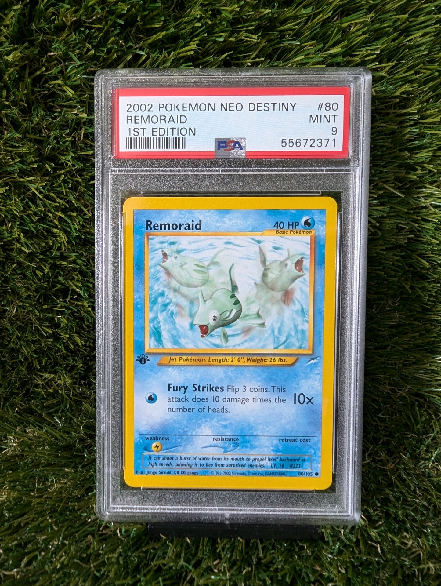 Remoraid 1ste edition 2002 Pokemon Neo Destiny Graded 9