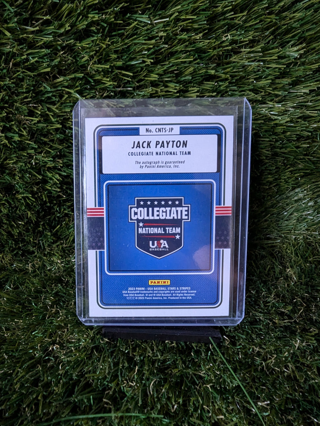 Panini USA Stars & Stripes Jack Payton Autograph Collegiate National Team