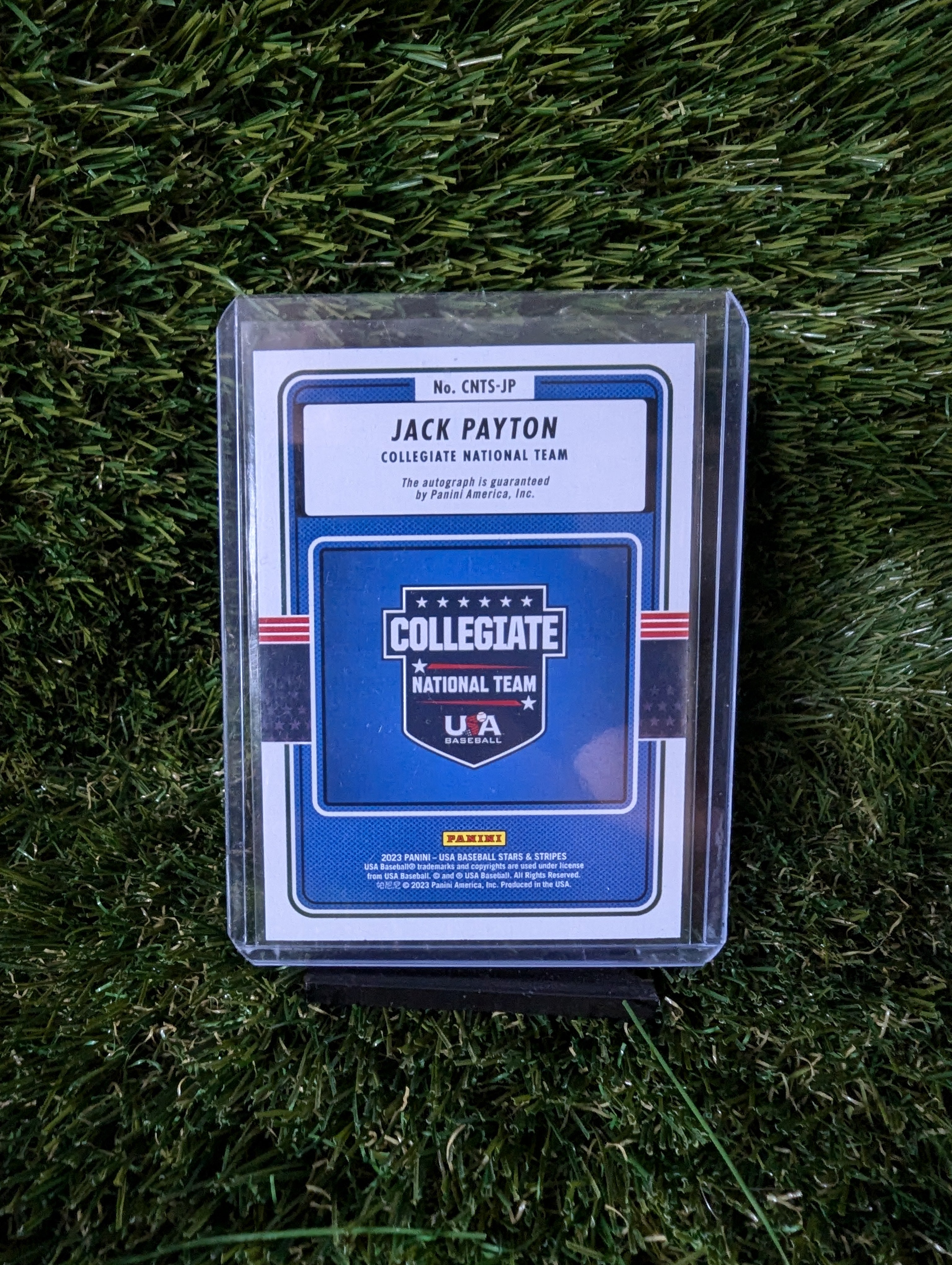 Panini USA Stars & Stripes Jack Payton Autograph Collegiate National Team