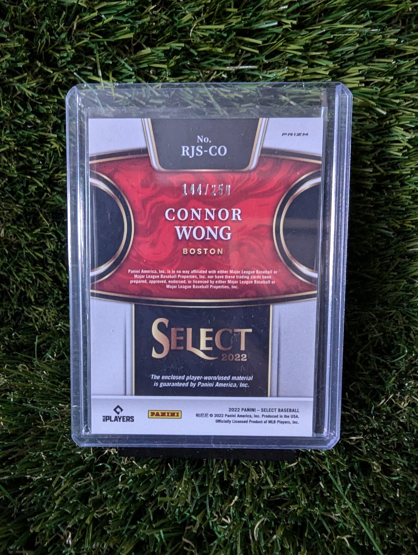 Panini Prizm Select Connor Wong RC Patch 144/250 Boston